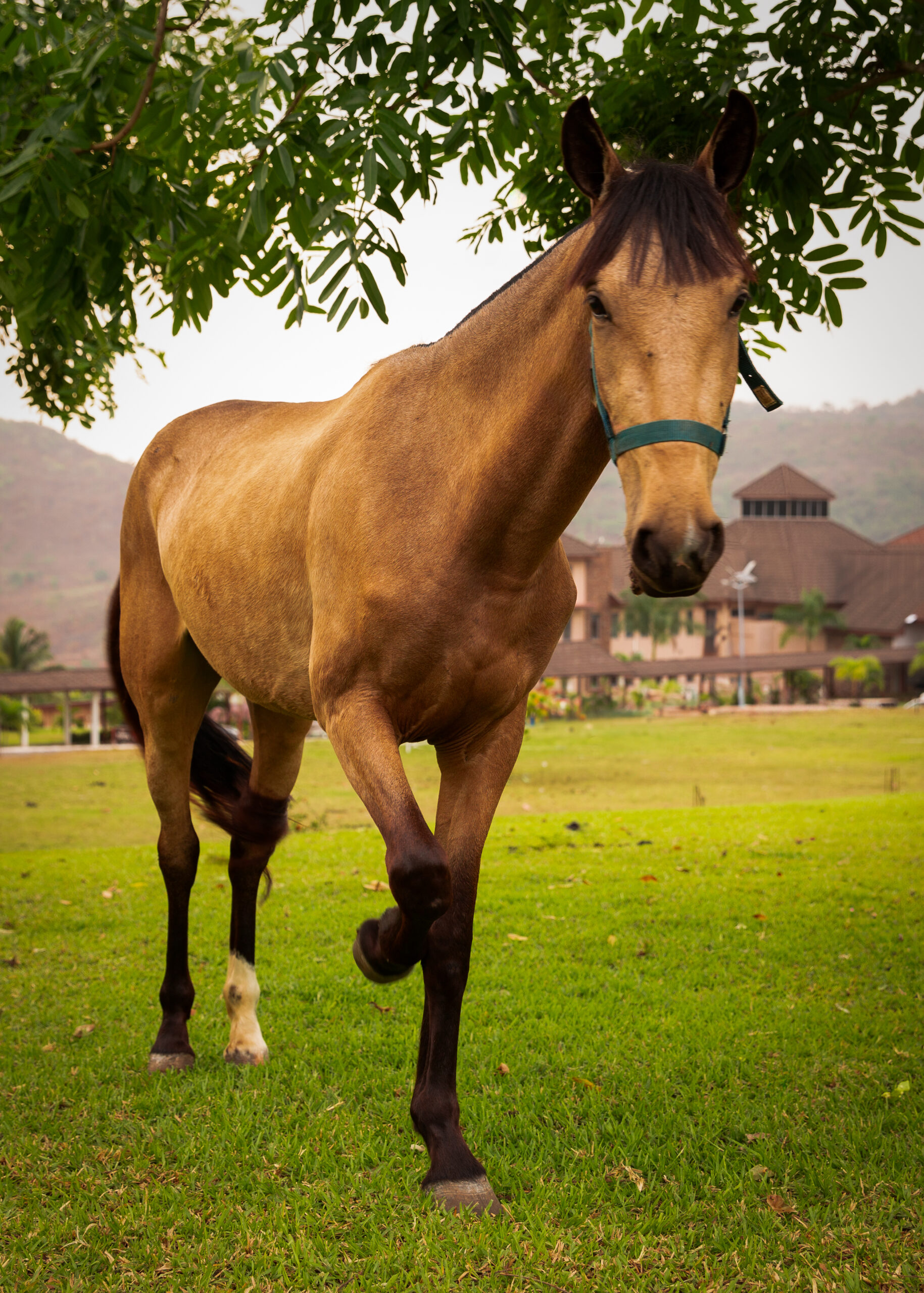 _S7B0480-Edit-7