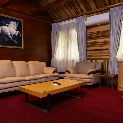 The Cabin