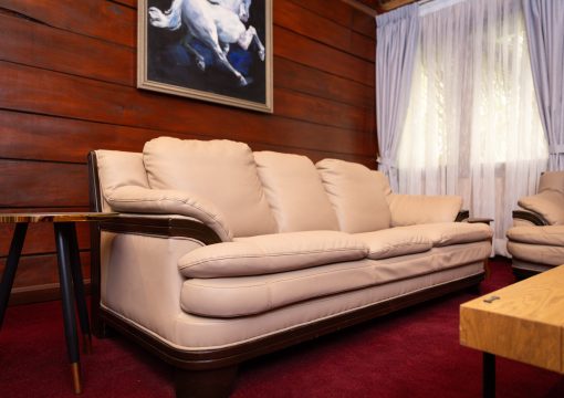 The Cabin